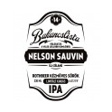 Bakancslista '14 - Nelson Sauvin (0,33l)