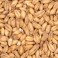 Búzamaláta / búza / wheat malt / weizen EBC 3-5 - 0,1kg