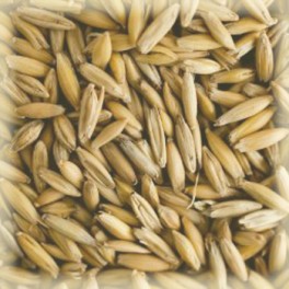 Zabmaláta / oat mat 5 EBC - 0,1kg